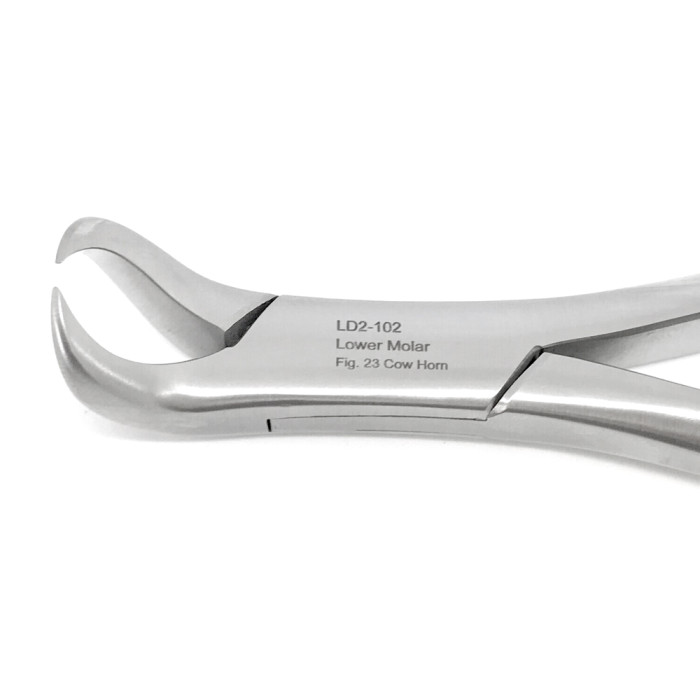 Lower Cow Forceps